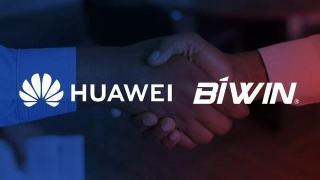 华为手机升级新“套路”，佰维NM卡给你多一种选择