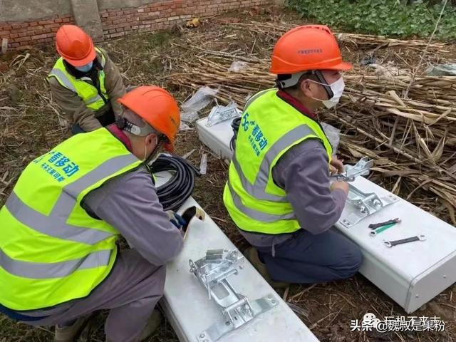 全球网络唯独中国没有瘫痪，是不是国内运营商经受住了考验？