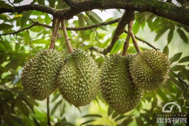 充电比加油还快 超级电容+锂电池或将是新能源革命的里程碑