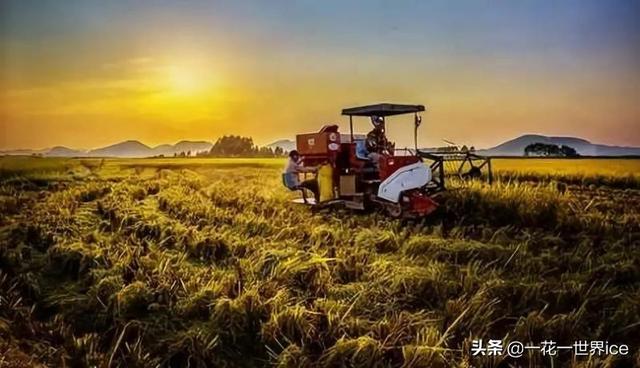 AI农业：百亿市场规模，但投入成本很高、人才缺乏