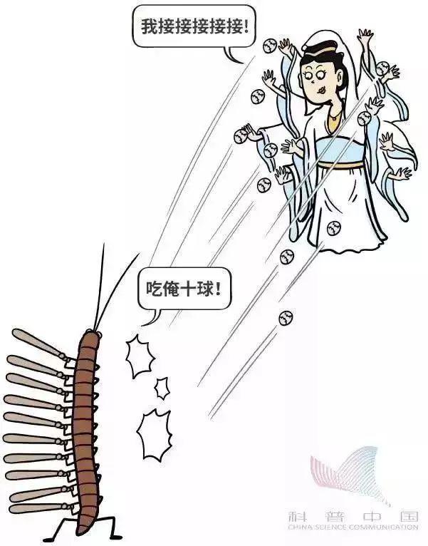 简单明了看懂5G