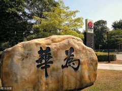 任正非：员工自愿996；华为绩效体系曝光，这才醒悟