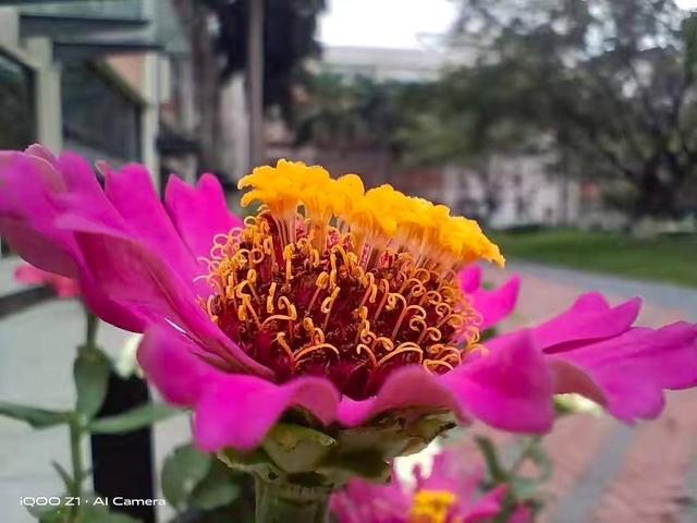 实测iQOO Z1：从颜值到性能，这部手机征服了我