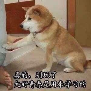 手机自带的扫描仪功能，一定要记得打开，办公白领必备神器