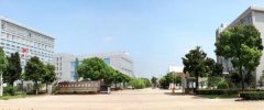 低调的中国科技巨头，3年净利润翻了25倍，91％的收入来自华为