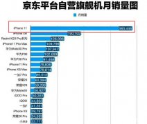iPhone11成销量冠军，苹果重回巅峰，库克真该谢谢中国用户
