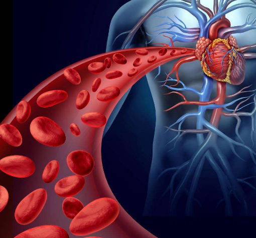 小米有品众筹续命神器，可24小时实时监测心脏，仅499元