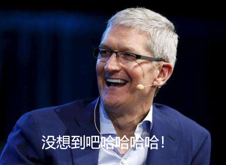 假如手机厂商都说真话：iPhone篇