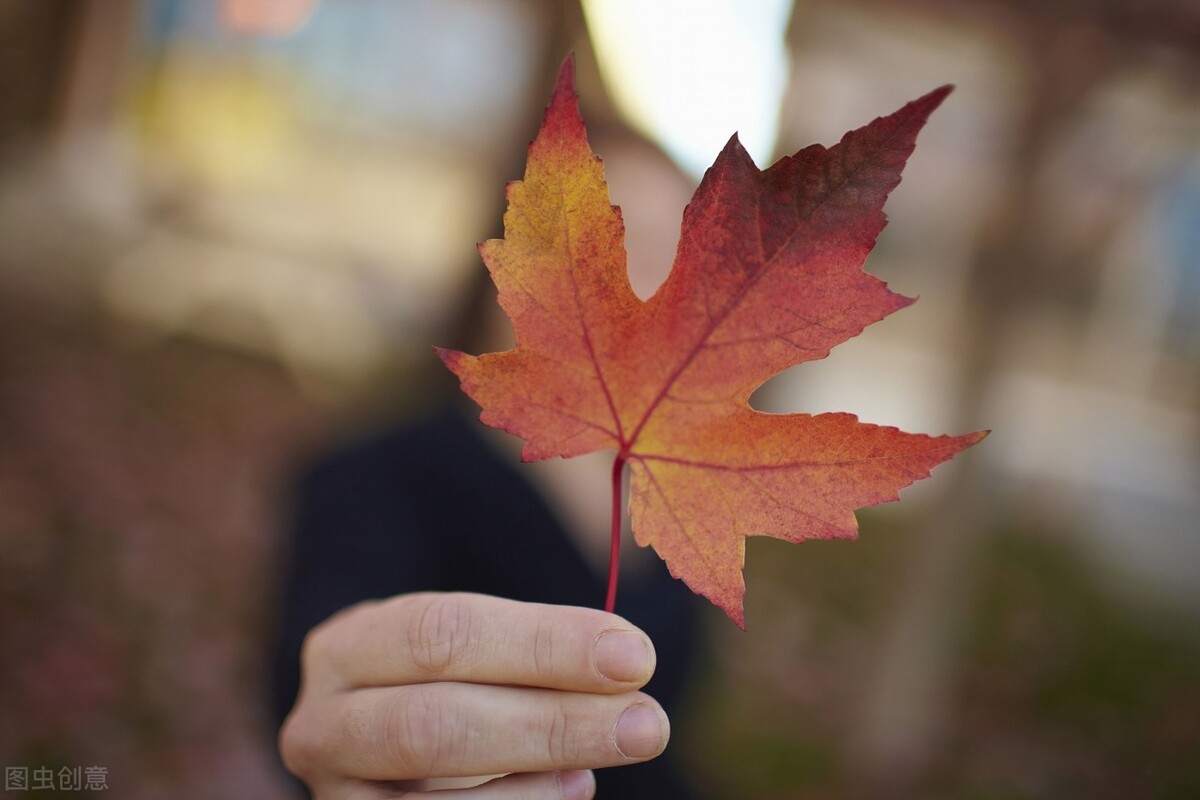被加拿大客人“敲诈勒索”续集,跨境电商上我踩过的坑分享