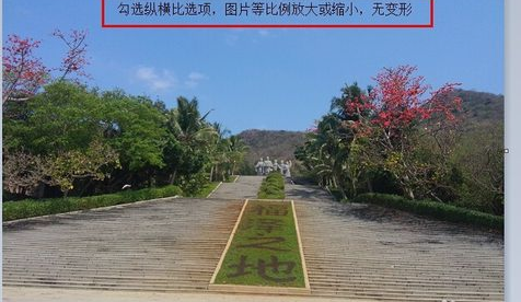 怎么修改图片大小？附操作方法