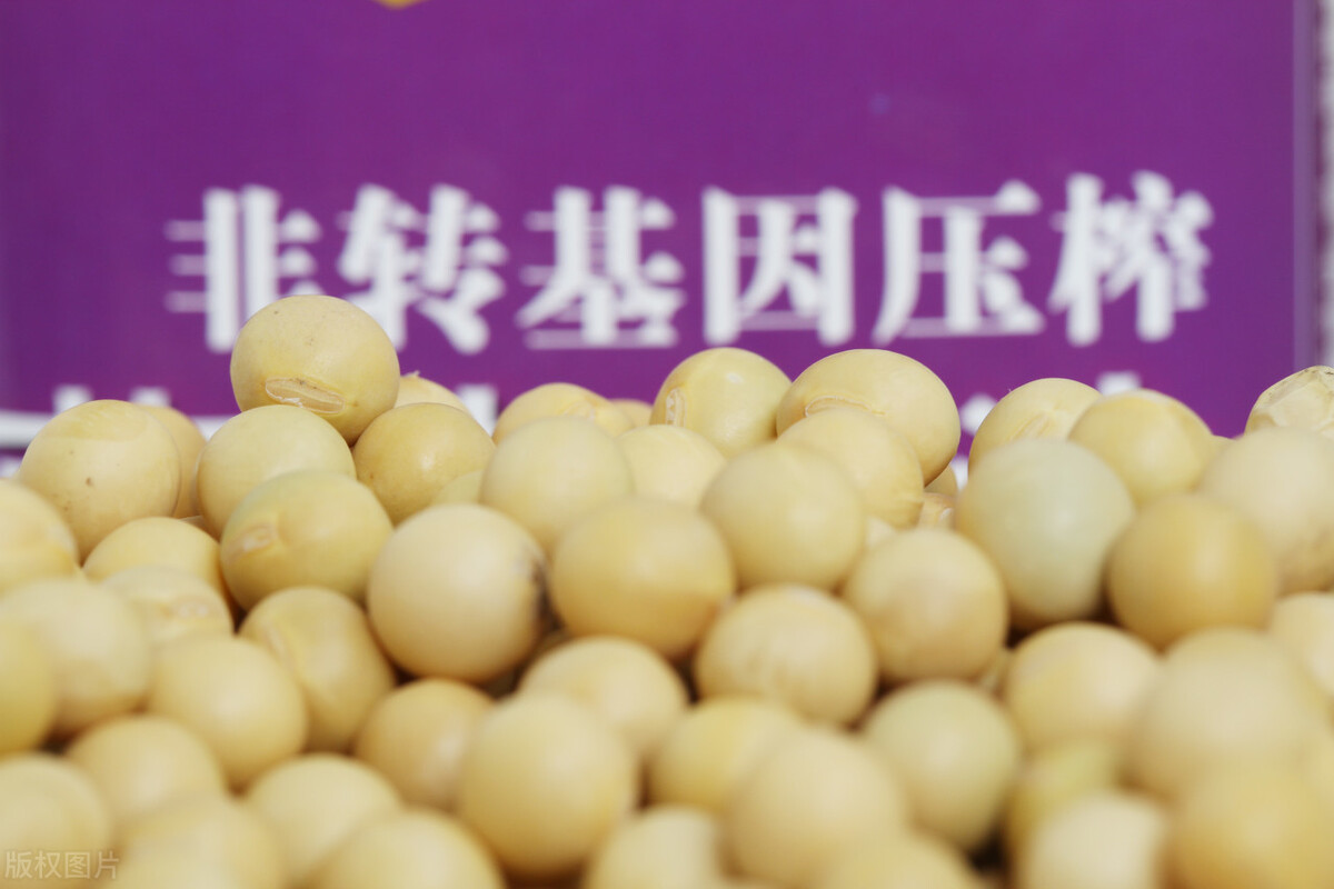 中国大豆进口量高达9千万吨，占总粮食进口量80%！网友吵翻了