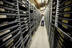 打造每个人都能看的岩石档案馆