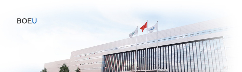 不能再叫“大学”:京东方大学更名京东方大学堂 京东方大学