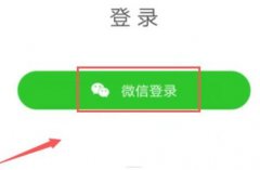 使用微信登录  蘑菇街手机注册教程