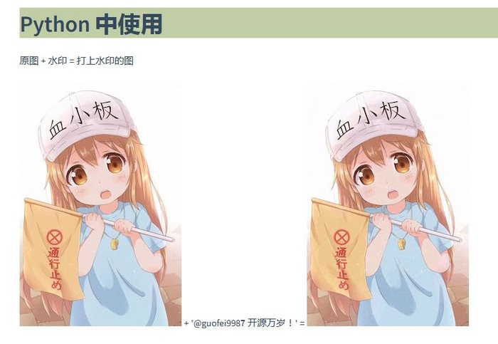 blind_watermark 向图片添加文字盲水印的案例