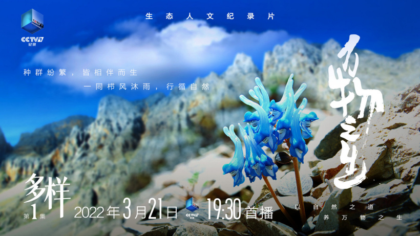 国内首部 8K 生态人文纪录片《万物之生》明日上线 CCTV9