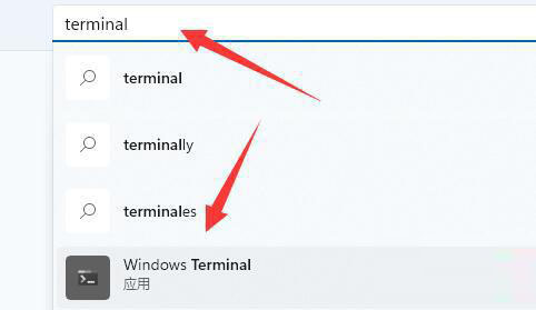 Win11总弹出找不到wt.exe提示