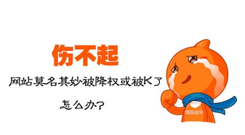 网站降权的原因,如何判断是否真的降权? 网站降权的原因,如何判断是否真的降权?