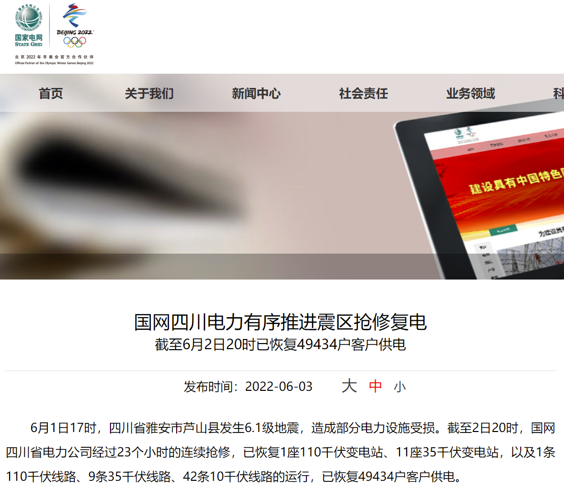 国家电网网站
