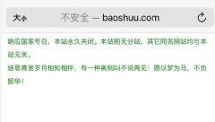 网络小说网站宝书网永久关闭，目前已停止访问!