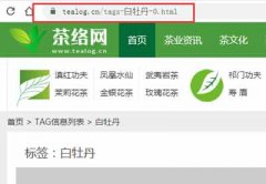 帝国CMS标签tags伪静态调用代码设置(详细图文)