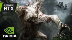 《黑神话：悟空》展示首个 RTX ON 4K 游戏实录视频