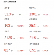 顺丰控股：上半年净利润 25.12 亿元同比增长 230%