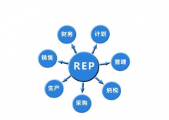 ERP对于企业的生存和发展来说是至关重要的