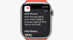 苹果 Apple Watch 手表 watchOS 9