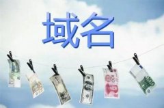 溢价域名是什么意思？数字域名怎么样？