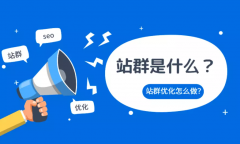 站群推广怎么做，seo站群优化技术。