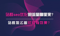 群站seo优化流量来源分析，群站如何优化效果比较好