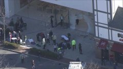 苹果 CEO 库克看望上周 Apple Store 车祸事件受害者