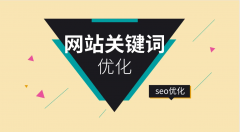 　分析如何存档网站快照?如何快速响应网站快照
