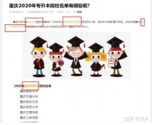 seo站内优化的内容,seo教程SEO技术蜘蛛