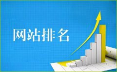 权重优势的网站如何优化网站排名!