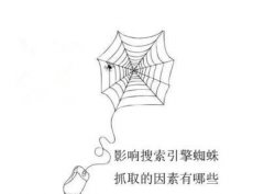 网站显示蜘蛛抓取异常的原因有哪些