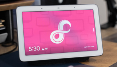 谷歌 Fuchsia OS 团队遭裁员 16% 以上