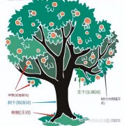关键词快速排名seo怎么优化,SEO关键词优化技巧
