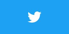 马斯克恢复的 10 个被禁 Twitter 账号数据