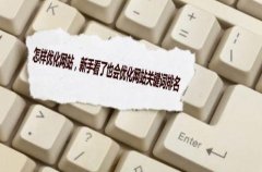 新手看了也会优化网站关键词排名