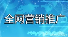 seo网站优化推广怎么做-SEO网站优化步骤和技巧有哪些