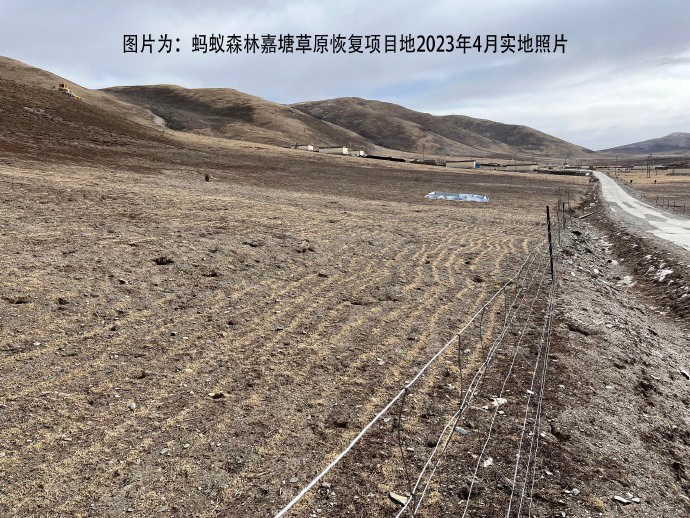 蚂蚁森林:网传存在污染地块,与蚂蚁森林公益项目无关