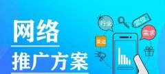 软文推广网站，提高SEO排名（SEO新手的必备策略