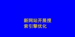 排名优化的重要性与方法（掌握排名优化技巧