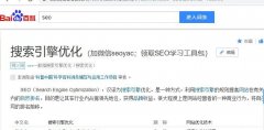 做SEO网站才能有排名？（实用技巧和经验分享