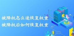 如何快速恢复被降权的网站,提升百度SEO排名