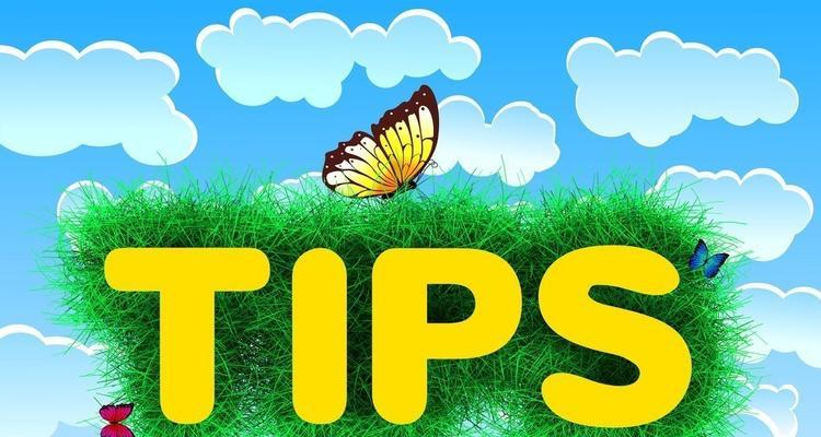 如何让网站加快被搜索引擎收录(SEO优化策略全解析) 如何让网站加快被搜索引擎收录(SEO优化策略全解析)