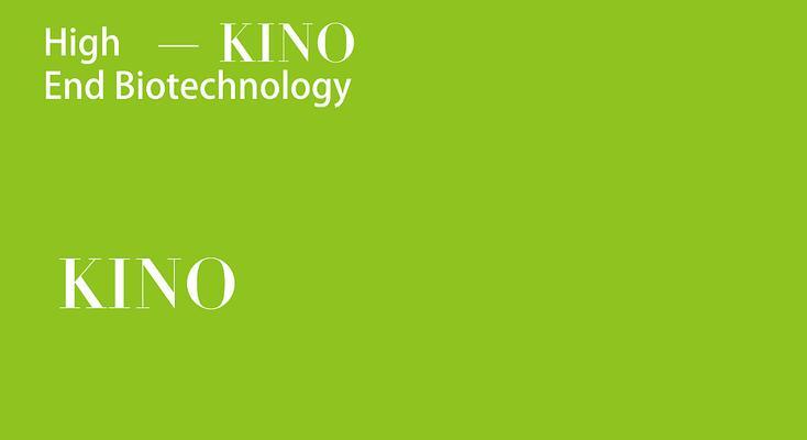 高端网站设计的优雅之道（探索高端网站设计的理念、定位、风格及颜色搭配）