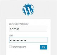 个人网站 今天发现网站被镜像的措施